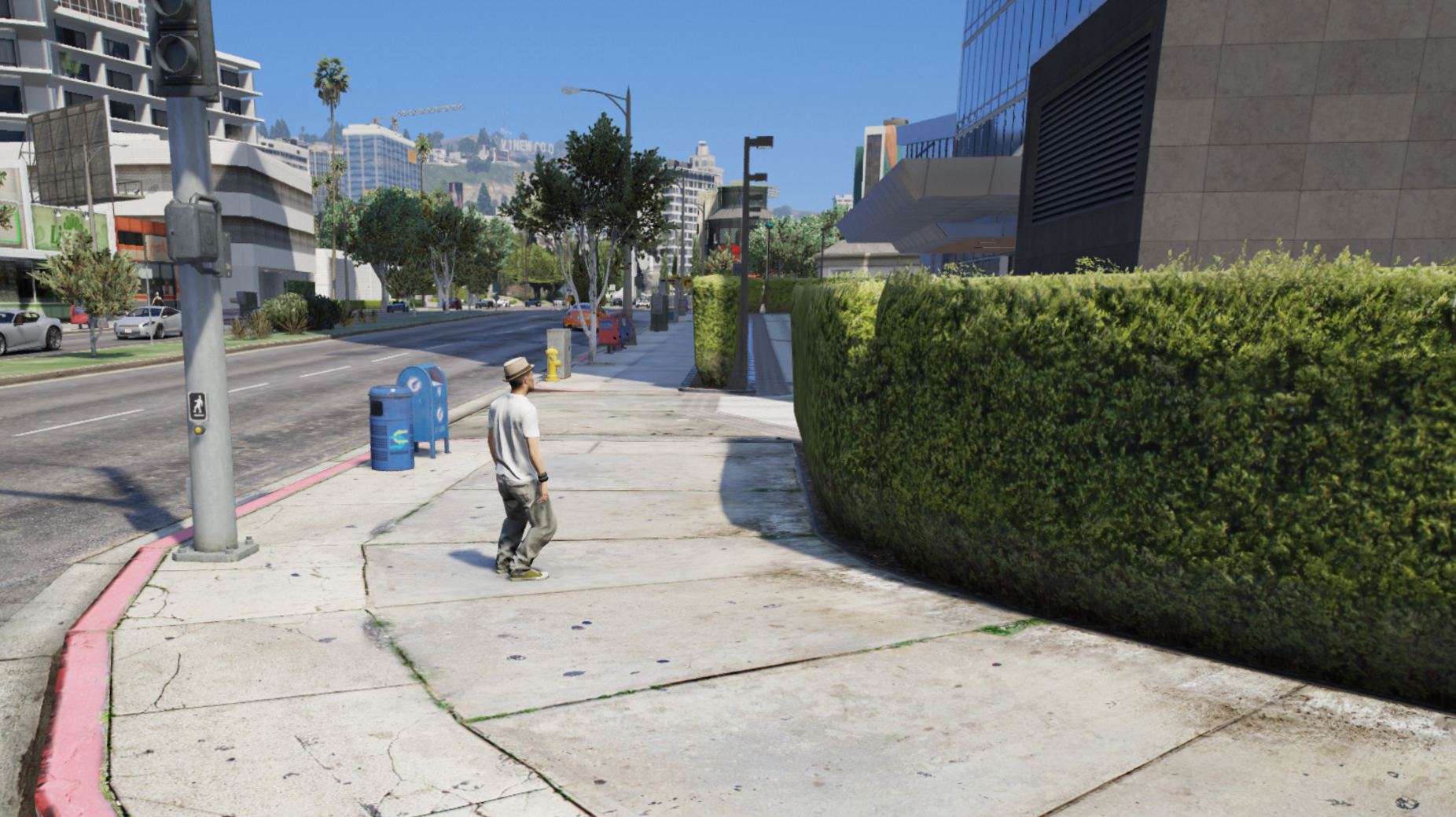 Ped issues
